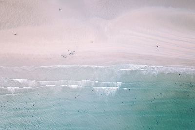 Birds flying over snow covered landscape