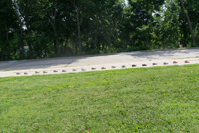 Scenic view of grass and trees