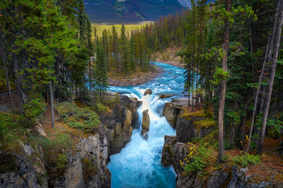 Scenic view of waterfall in forest