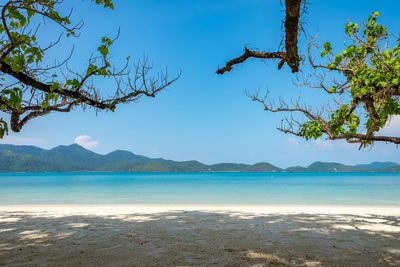 Scenic view of sea against clear blue sky