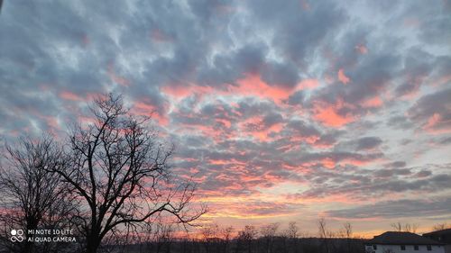 Silhouette bare tree against dramatic sky during sunset