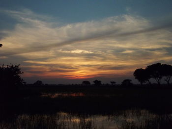 Silhouette trees against sky during sunset