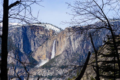 View of bare trees on mountain