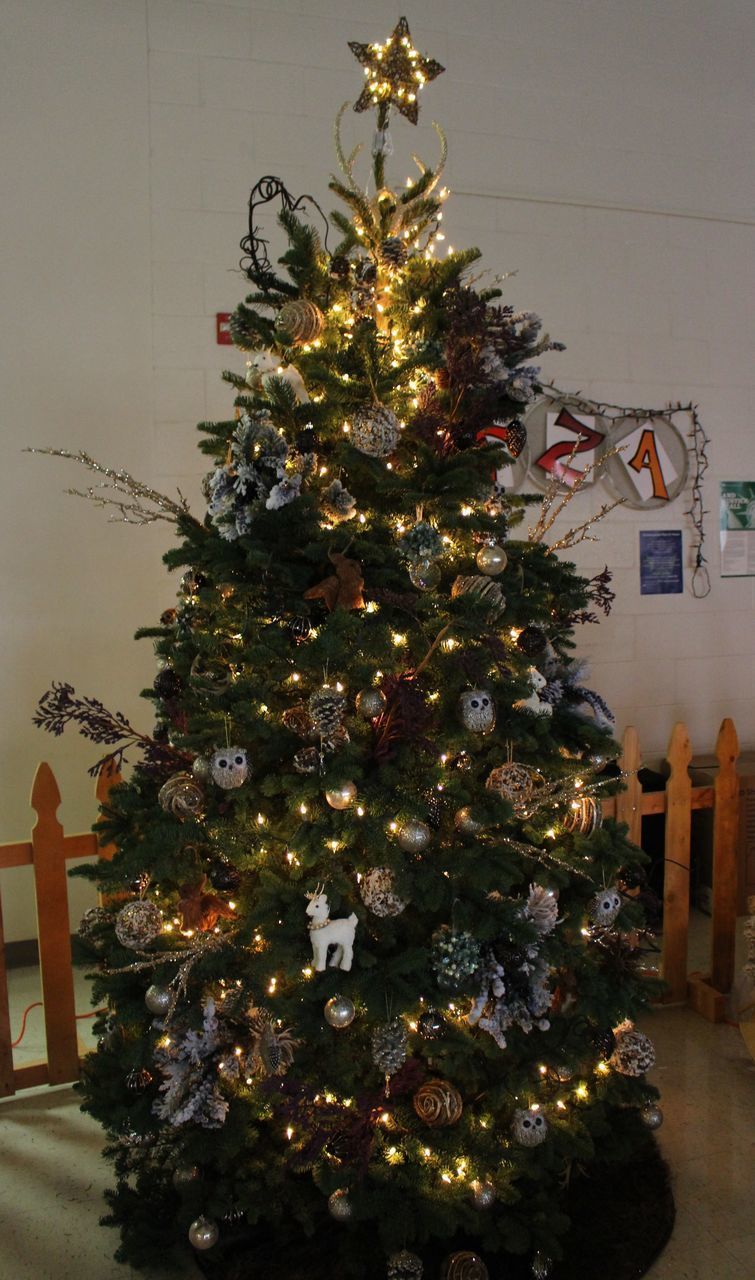 ILLUMINATED CHRISTMAS TREE AT HOME DURING NIGHT