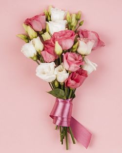 Close-up of pink roses against white background