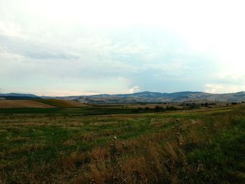 Scenic view of grassy field against cloudy sky