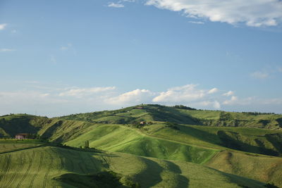 Scenic view of rural landscape