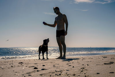 Doggy beach day, man and pet labrador dog playing in the sun, sand and surf.