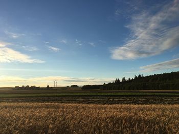 Scenic view of field against sky