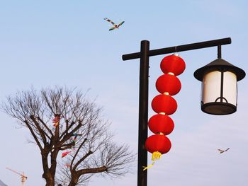 Low angle view of bird flying against clear sky