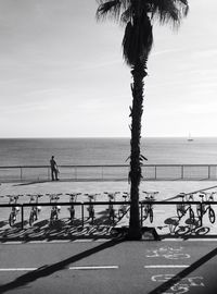 Palm tree by sea against sky