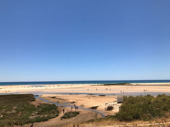 Scenic view of beach against clear blue sky