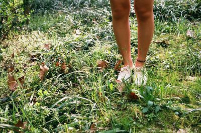 Low section of person standing on grassy field