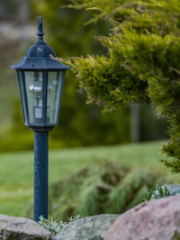 Close-up of birdhouse on tree