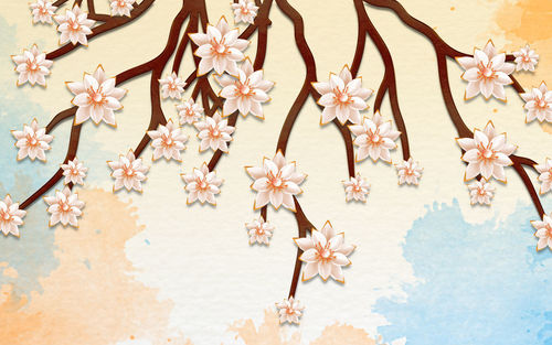 Close-up of cherry blossom