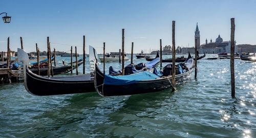 Boats moored at harbor against clear sky during sunny day