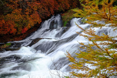 Scenic view of waterfall in forest during autumn