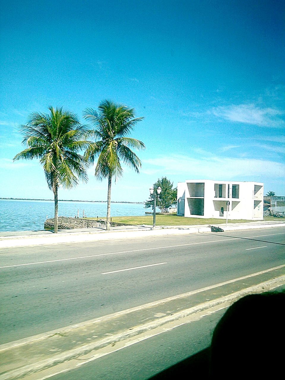 palm tree, tree, sea, blue, beach, sky, building exterior, built structure, architecture, water, road, street, transportation, shore, clear sky, sand, day, sunlight, horizon over water, nature