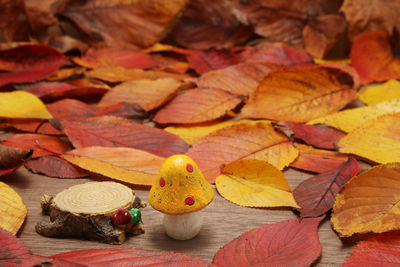 Close-up of dry leaves on table