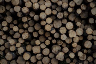 Full frame shot of logs