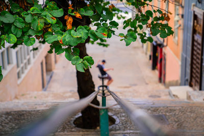 Sliding through the streets of lisbon 