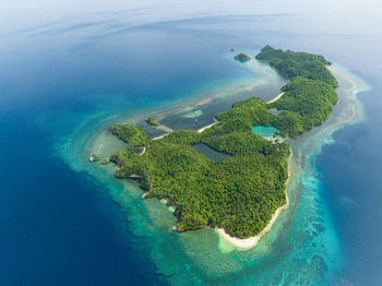 Aerial view of tropical island in the blue sea with sandy beach. danjugan islands, philippines.