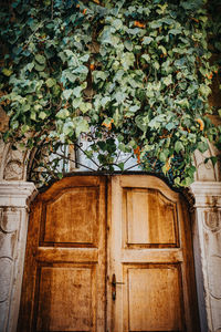 Closed door of building