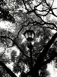 Low angle view of street light against sky