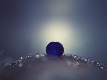 Close-up of water drop against gray background