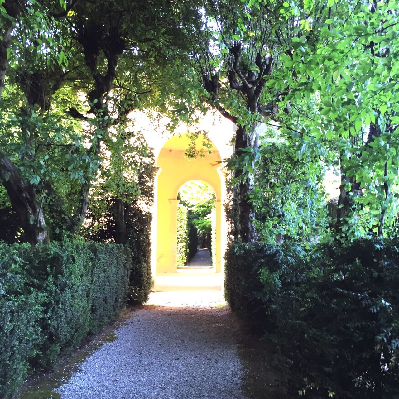 tree, arch, the way forward, built structure, architecture, green color, growth, entrance, plant, gate, day, sunlight, footpath, no people, door, building exterior, outdoors, walkway, park - man made space, nature