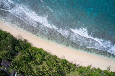 Drone field of view of waves crashing into beach and forest, praslin, seychelles.