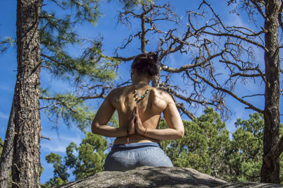 Low angle view of woman doing yoga in forest