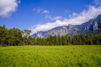 Scenic view of landscape and mountains against sky