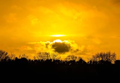 Silhouette trees against orange sky