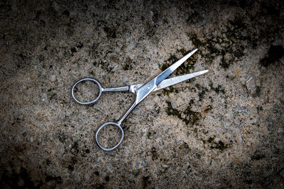 High angle view of objects over white background