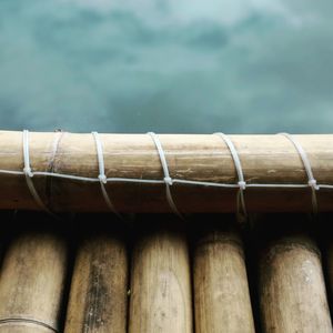 High angle view of bamboos against sky