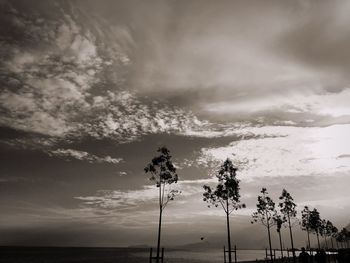 Low angle view of silhouette trees against sky during sunset