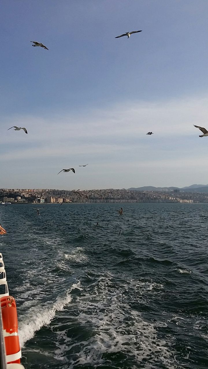 flying, bird, sea, mid-air, transportation, animal themes, wildlife, mode of transport, animals in the wild, water, airplane, seagull, sky, air vehicle, horizon over water, spread wings, nature, scenics, aircraft wing, one animal