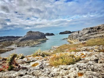 Scenic view of sea against sky