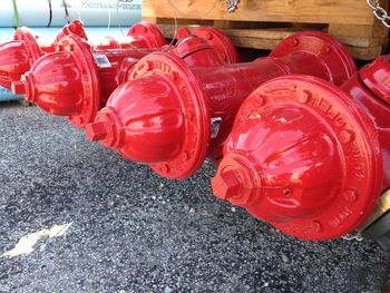 Close-up of red flower