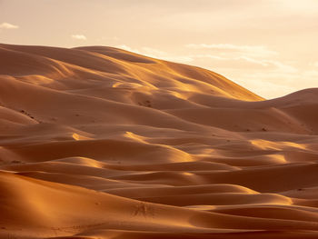 Scenic view of desert against sky during sunset