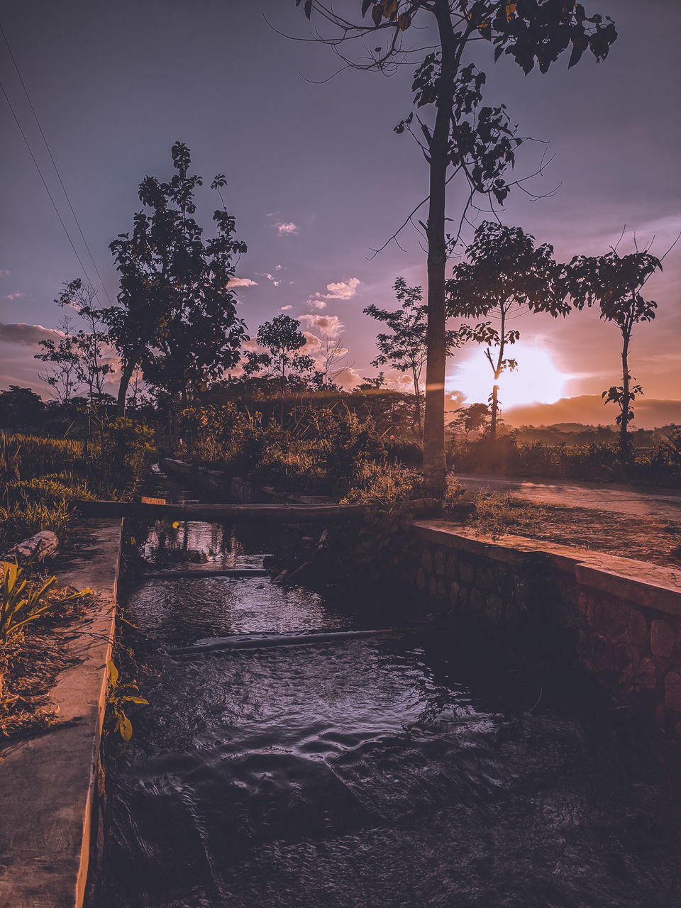 VIEW OF BRIDGE AT SUNSET