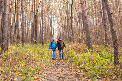 Rear view of men walking on footpath in forest