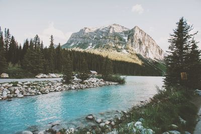 Scenic view of snow covered mountains