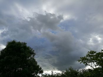 Low angle view of trees against cloudy sky