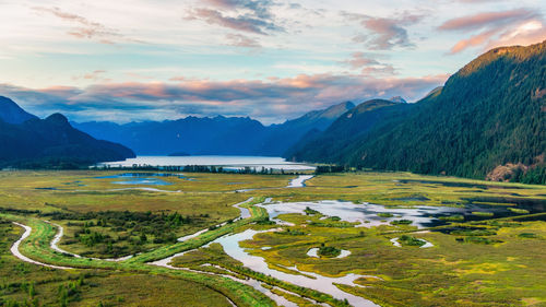 Scenic view of landscape against sky