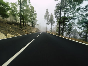 Empty road amidst trees in forest