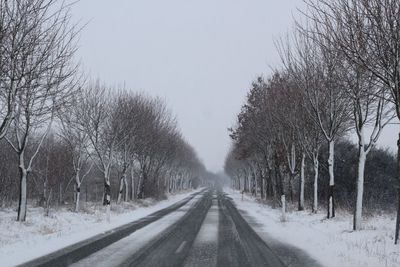 Road amidst bare trees during winter against sky