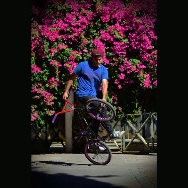 flower, bicycle, full length, transportation, lifestyles, plant, growth, land vehicle, leisure activity, auto post production filter, mode of transport, casual clothing, tree, outdoors, day, sunlight, side view, nature