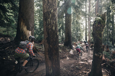 People riding bicycle in forest